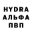 A-PVP Соль hogysh go