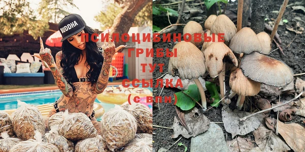 бутират Белокуриха
