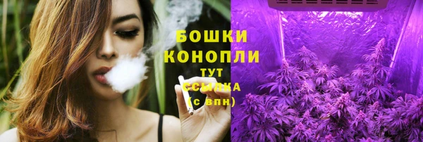 бутират Белокуриха