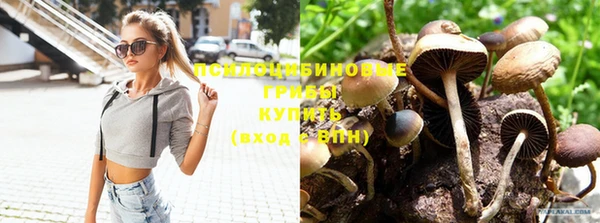 бутират Белокуриха