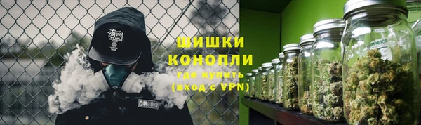 бутират Белокуриха